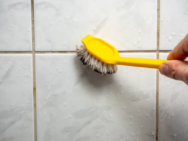 Best Localized Mold Remediation (e.g., coastal areas, humid climates) in Garrettsville, OH