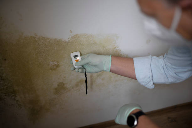 Best Mold Testing and Inspection Services in Garrettsville, OH