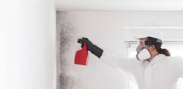 Best Commercial Mold Remediation in Garrettsville, OH